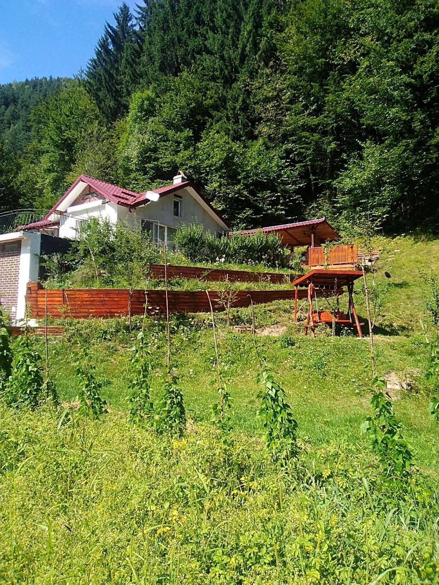 Casa Ozon Hotel Vulcan  Buitenkant foto
