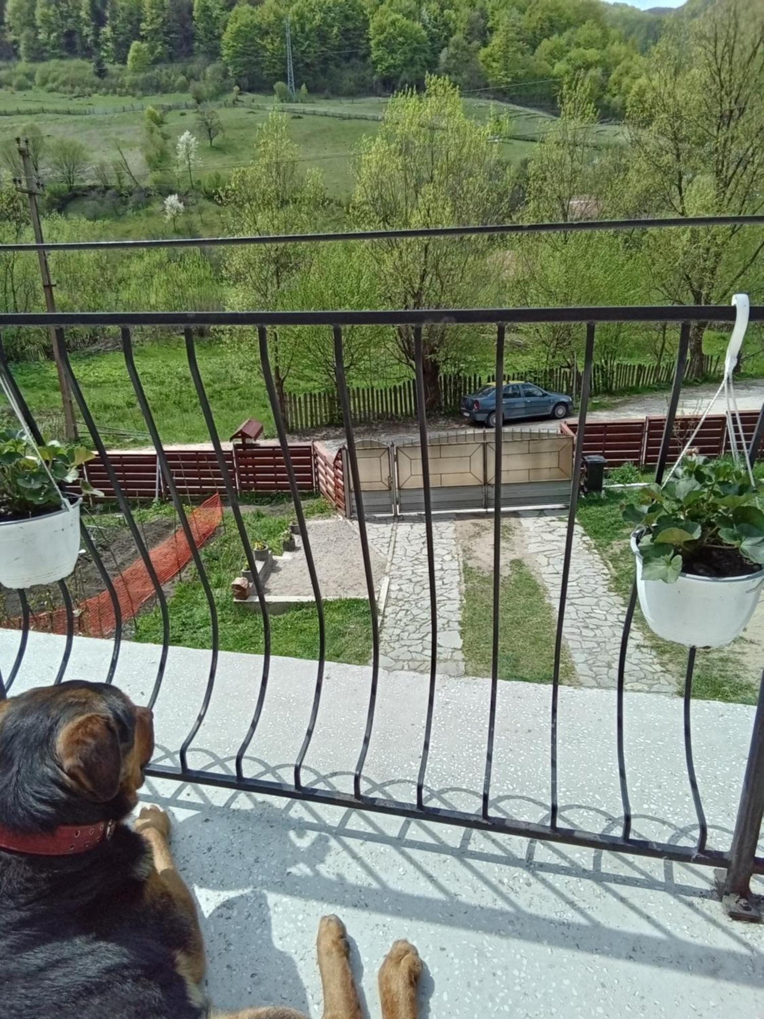 Casa Ozon Hotel Vulcan  Buitenkant foto